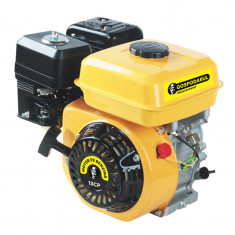 Motor uz general Gospodarul profesionist GP-188F, 3600 kW, 13 CP, 6.5 l, 389 CC foto