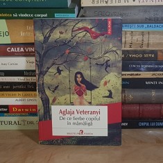 AGLAJA VETERANYI - DE CE FIERBE COPILUL IN MAMALIGA ( ROMAN ) , POLIROM , 2013 *