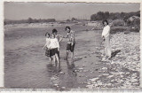 Bnk foto Valea Teleajenului langa LIpanesti - 1980, Alb-Negru, Natura, Romania de la 1950