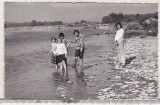 Bnk foto Valea Teleajenului langa LIpanesti - 1980, Alb-Negru, Romania de la 1950, Natura