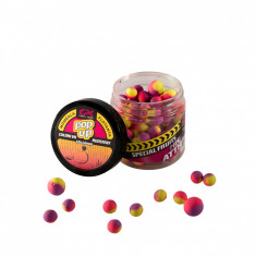 POP-UP HA Special Fruits 10 & 14mm 40gr