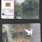 Romania 2000 Telephone card Danube Delta Rom 66a CT.049