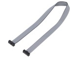 Cablu panglică IDC cu conectori, 10 miezuri, 304.8mm, SAMTEC