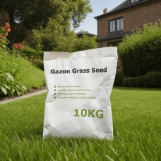 Semințe pentru iarbă de gazon, 10 kg