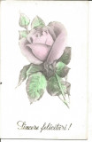 (A) carte postala-FELICITARE-trandafir-sarbatori fericite, Circulata, Printata
