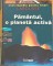 Foto  - 1