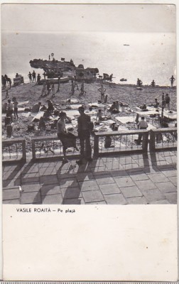 bnk cp Vasile Roaita - Pe plaja - circulata foto