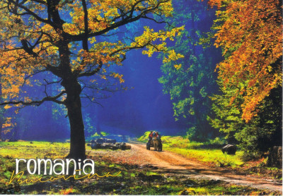 Carte postala Bucovina SV178 Joia de lemne foto