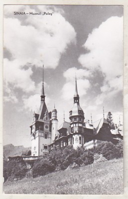 bnk cp Sinaia - Muzeul Peles - circulata foto