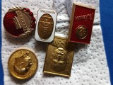 insigne diverse, pentru colectionari sau decorare ghiozdane ,sepci , tricuri ,geci blugi