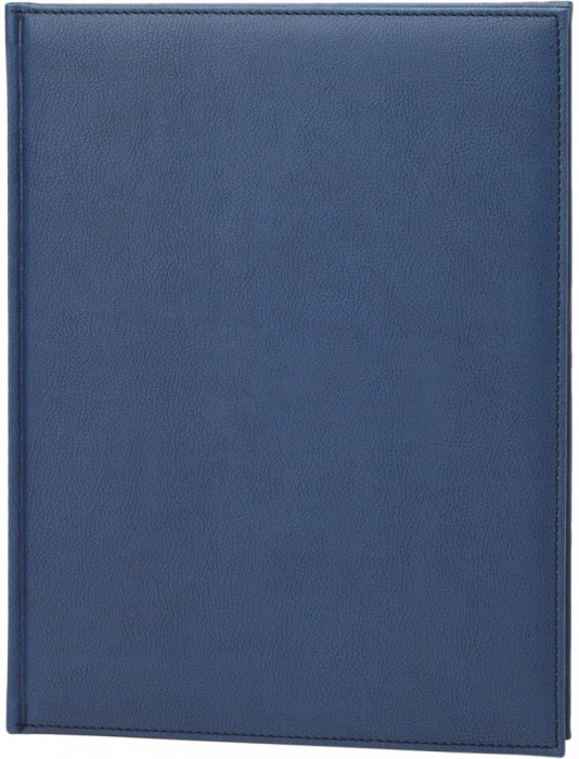 Agenda Lux 152 pagini Ego