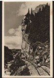 CPIB 22709 - CARTE POSTALA - MUNTII BUCEGI. CHEILE TATARULUI, RPR, NECIRCULATA