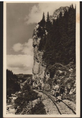 CPIB 22709 - CARTE POSTALA - MUNTII BUCEGI. CHEILE TATARULUI, RPR, NECIRCULATA foto