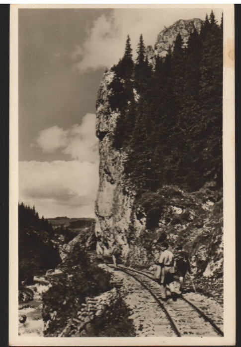 CPIB 22709 - CARTE POSTALA - MUNTII BUCEGI. CHEILE TATARULUI, RPR, NECIRCULATA