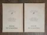 Cumpara ieftin PACEPA - ORIZONTURI ROSII , 1988 * LOT DOUA VOLUME