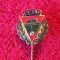 Insigna sport-Tenis de Masa- Federatia de Tenis de Masa din SPANIA