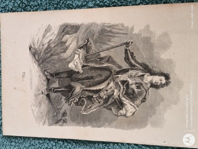 gravura veche pe hartie cartonata lucioasa , pentru colectie sau pentru inramare pe un format A4 .deosebita foto