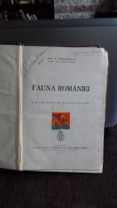 FAUNA ROMANIEI - I. SIMIONESCU foto