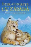 &Icirc;ntr-o noapte cu zăpadă - Paperback brosat - Ana Dragomirescu - Litera