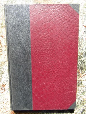 FEMEEA IN FATA OGLINZEI de HORTENSIA P. BENGESCU, 1921 , EDITIA I * foto