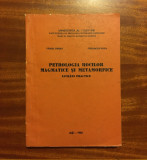Viorel Erhan, Gheorghe Popa - Petrologia Rocilor Magmatice si Metamorfice (1981)