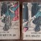 myh 23f - Alexandre Dumas - Dupa doua zeci de ani - 2 volume - ed 1960