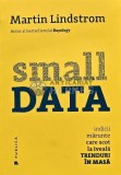 Small Data. Indicii marunte care scot la iveala trenduri in masa - 2016 - Martin Lindstrom (AE184), Publica