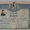 LICEUL &#039; NICOLAE BALCESCU &#039; , BRAILA , DIPLOMA DE BACALAUREAT , GRAFICA de A. BORDENACHE , CU PORTRETUL REGELUI CAROL II , DATATA 29 AUGUST 1939