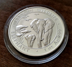 SOMALIA - 100 Shillings 2015 - in capsula - Elefant - argint 31.1 gr. - 999/1000 foto