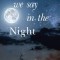 Things We Say In the Night