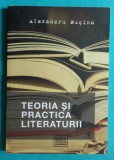 Alexandru Musina &ndash; Teoria si practica literaturii