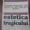 ESTETICA TRAGICULUI-JOHANNES VOLKELT-259852