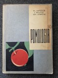 POMOLOGIA - Lupescu, Militiu, Stanciu