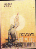 HST C2890 Povara sublimului Monografie Mihai Moldovan 1996 Ileana Ursu