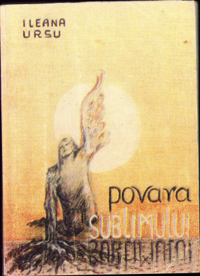 HST C2890 Povara sublimului Monografie Mihai Moldovan 1996 Ileana Ursu foto