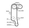 GATES 5565XS PowerGrip&reg; Curea de distributie