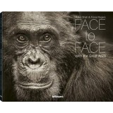Face to Face With the Great Apes