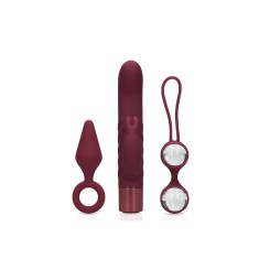 Set 3 Jucarii Sexuale pentru EA, Silicon, Dark Cherry