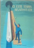 Ce Este Teoria Relativitatii - L. D. Landau