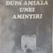 DUPA AMIAZA UNEI AMINTIRI-ION BELDEANU-225942