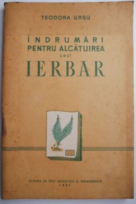 Indrumari pentru alcatuirea unui ierbar &amp;ndash; Teodora Ursu foto