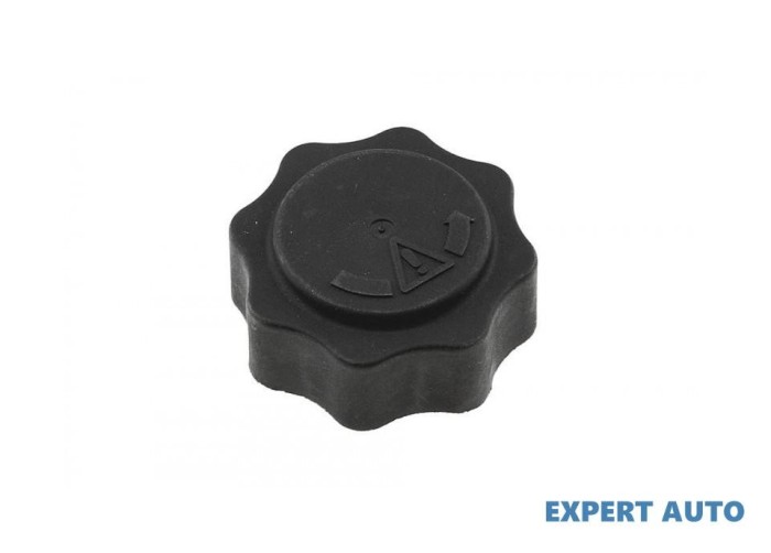 Capac radiator MINI Cooper S (2006->) #1