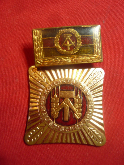 Medalie DDR -Munca , invatatura ,socialism ,h=4,5cm