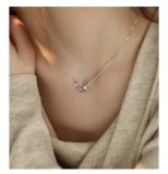 Cumpara ieftin LantiE or din Argint 925 Rodiat , Ocean Dolphin