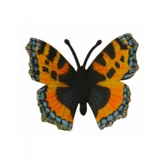 Fluture mic - Collecta