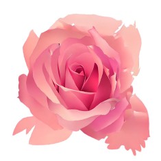 Sticker decorativ, Trandafir, Roz, 61 cm, 8227ST foto