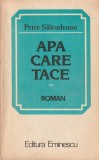 PETRE SALCUDEANU - APA CARE TACE