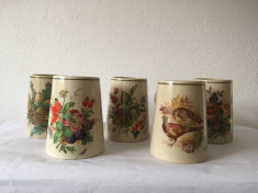 Set 5 halbe de bere vintage 1985, ilustratii flora, fauna, 500 ml foto