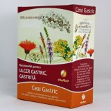 GASTRIC CEAI 100GR, Vitaplant