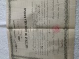 brevet Diploma de absolvire liceu,Ferdinand I ,Bacau .Regatul Romaniei